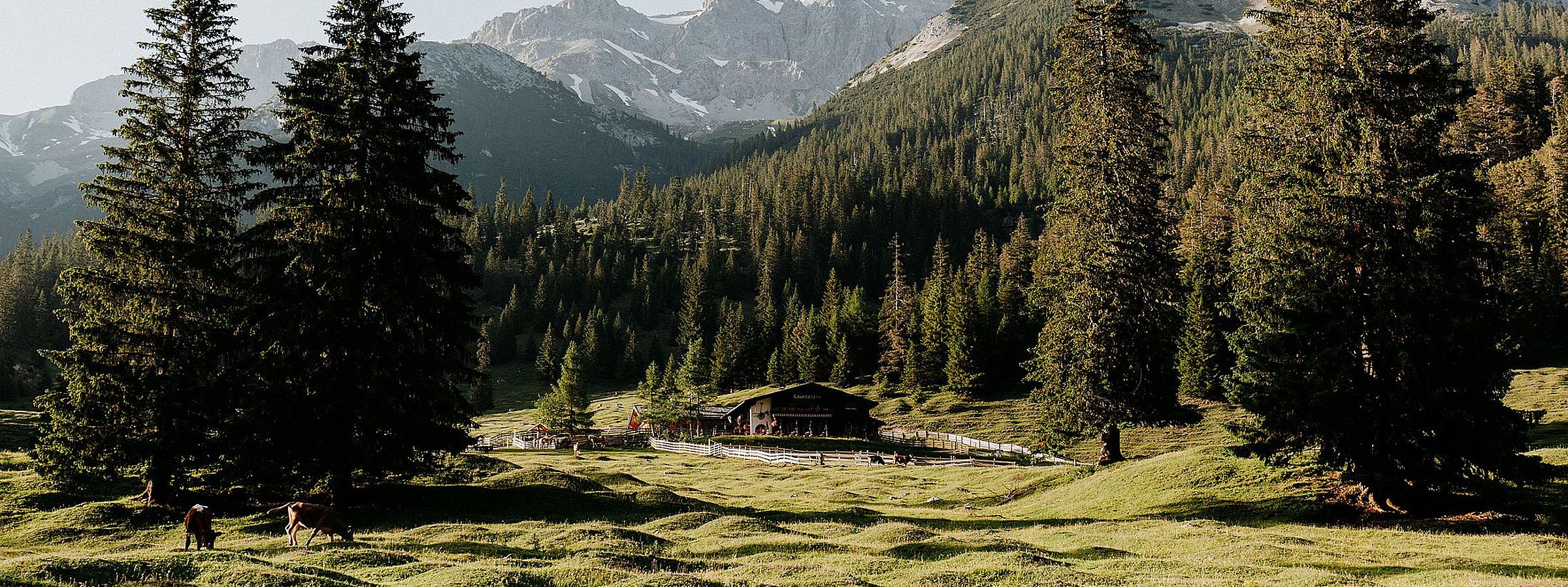 Hotel-Inntalerhof-Wandern