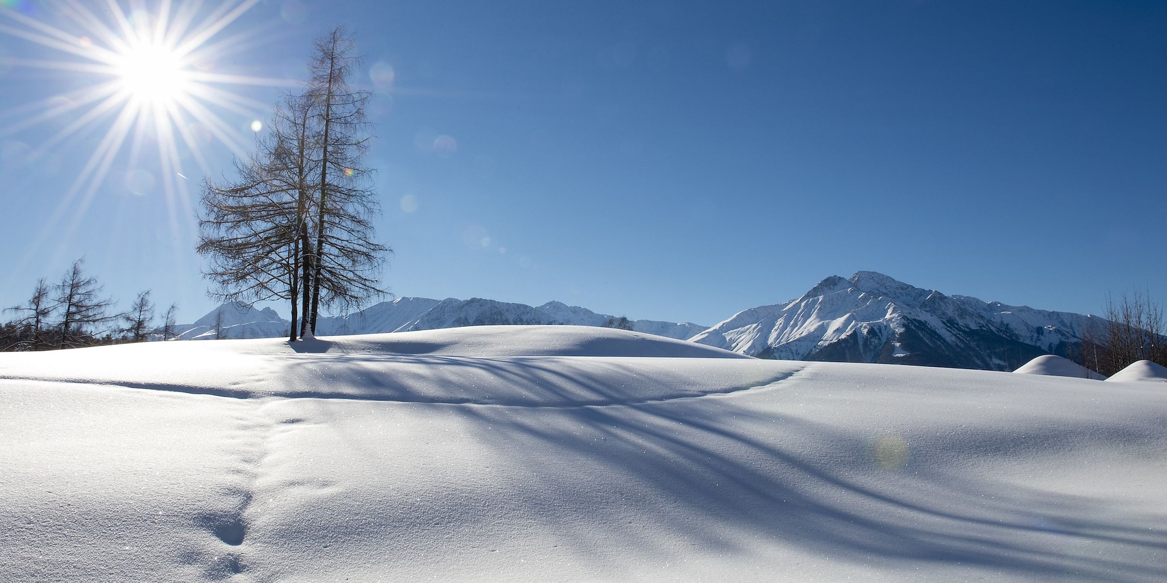 Verschneite Winterlandschaft am Hochplateau bei Mösern mit Lärche und Sonne über den Bergen